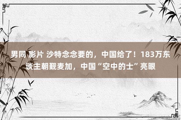 男同 影片 沙特念念要的，中国给了！183万东谈主朝觐麦加，中国“空中的士”亮眼