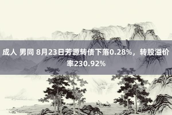 成人 男同 8月23日芳源转债下落0.28%，转股溢价率230.92%