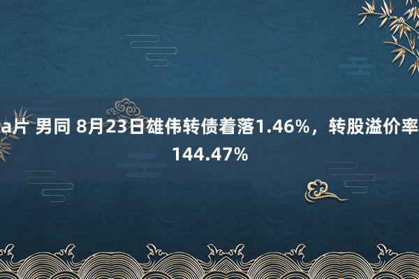 a片 男同 8月23日雄伟转债着落1.46%，转股溢价率144.47%