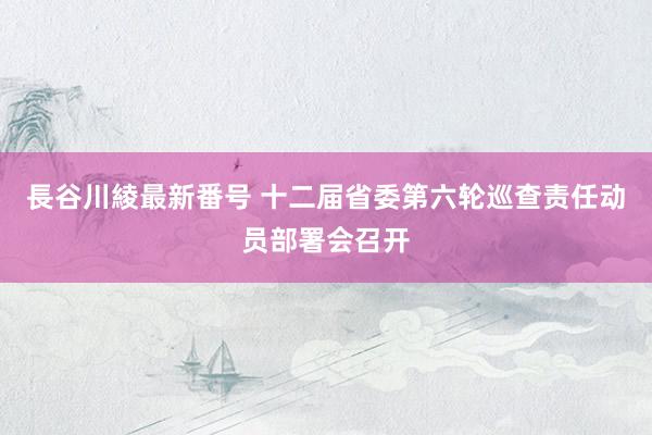 長谷川綾最新番号 十二届省委第六轮巡查责任动员部署会召开