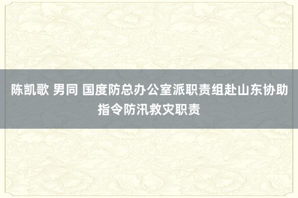 陈凯歌 男同 国度防总办公室派职责组赴山东协助指令防汛救灾职责