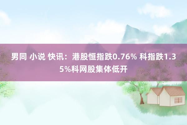 男同 小说 快讯：港股恒指跌0.76% 科指跌1.35%科网股集体低开