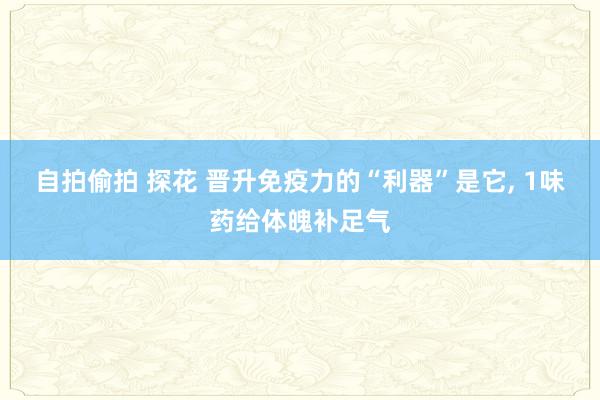 自拍偷拍 探花 晋升免疫力的“利器”是它， 1味药给体魄补足气