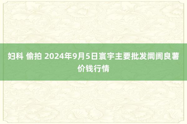 妇科 偷拍 2024年9月5日寰宇主要批发阛阓良薯价钱行情