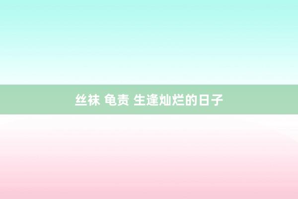 丝袜 龟责 生逢灿烂的日子