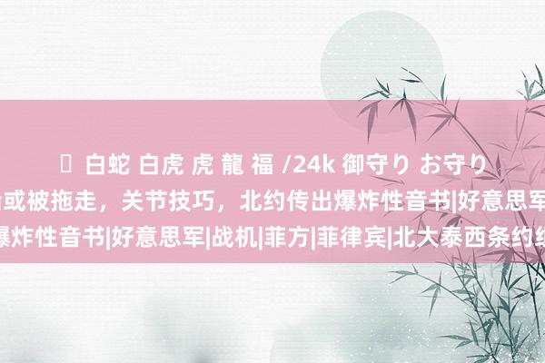 ✨白蛇 白虎 虎 龍 福 /24k 御守り お守り 南海传出进击风声，菲船或被拖走，关节技巧，北约传出爆炸性音书|好意思军|战机|菲方|菲律宾|北大泰西条约组织