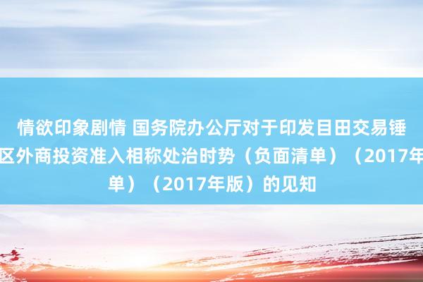 情欲印象剧情 国务院办公厅对于印发目田交易锤真金不怕火区外商投资准入相称处治时势（负面清单）（2017年版）的见知